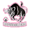 https://img.taibaihuaxue.com/img/football/team/97c3ef30cac48cadff97605e387feefa.png